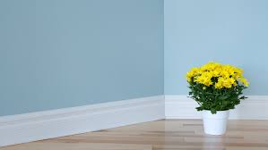 If you are painting your skirting boards with carpet, we would recommend a carpet protector which you can 2. How To Paint Skirting Board Sam