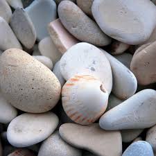 Stones From The Beach On Lac Leman Food Lac Leman Stuffed Mushrooms