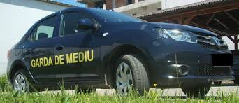Avem 105 stiri despre garda de mediu. Garda De Mediu Cluj In GrevÄƒ GeneralÄƒ Pe Termen Nelimitat Dej24 Ro
