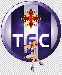 With 23 lakhs png images we are world biggest collection of png. Toulouse Fc Stadium De Toulouse 2017 18 Ligue 1 As Monaco Fc Football Football Purple Violet Logo Png Klipartz
