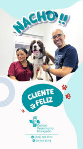 Centro Veterinario Envigado