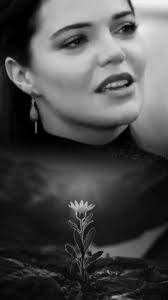 Yasa Pets Town Türkçe