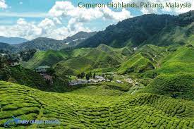 Top places to visit in pahang. Cameron Highlands Pahang Malaysia Beautiful Places To Visit Most Beautiful Places Cool Places To Visit