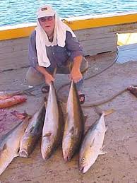 Fishing Sanfelipe Com Mx