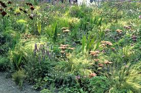 Piet Oudolf The Work Of Dutch Planting Designer Piet Oudol Flickr Landscape Design Dutch Gardens Urban Garden