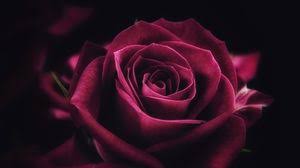 We've gathered more than 5 million images uploaded by our users and sorted them by the most popular ones. Flowers Wallpapers Full Hd Hdtv Fhd 1080p Desktop Backgrounds Hd Pictures And Images