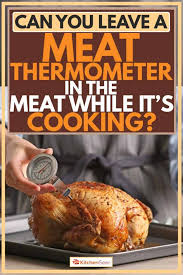 Make sure your chicken is pat dry before adding the dry rub. Can You Leave A Meat Thermometer In The Meat While It S Cooking Kitchen Seer