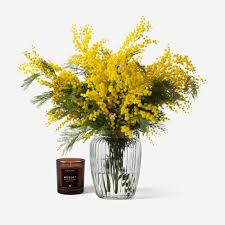 Bouquets and letterbox flowers start from just £20. Mimosa Mimosa Flower Delivery London And Uk Flowerbx Uk