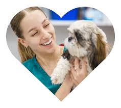 Low Cost Vet Phoenix