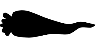 Svg Carrot Nose Snowman Free Svg Image Icon Svg Silh