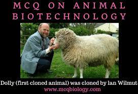 Animal cell culture can define as the type of cell culture where the cell grows and multiplies either in a solid or liquid medium as a cell monolayer or cell suspension respectively to produce the primary cells. Multiple Choice Questions On Animal Biotechnology