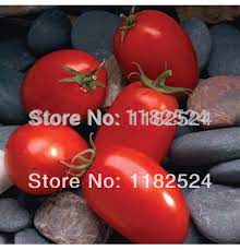 Looking for information about mariana+tomato+seeds? 100 Seeds Mariana F1 Tomato Seeds Fruit Vegetables Seeds Seed F1f1 Honda Aliexpress