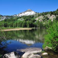Maybe you would like to learn more about one of these? 10 Easy Hikes Near Salt Lake City