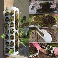 Erdbeeren Pflanzen In Diy Containers So Geht S Erdbeeren Pflanzen Vertikaler Garten Und Pflanzen