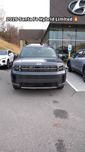 Image result for Ecotronic Gray 2025 Staria