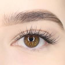 How To Clean Your Lashify, Kiss Falscara Or Any Under Eye Lash Extenstions  | Seebiedeebie - Youtube