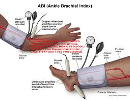 Medical Exhibits Demonstrative Aids Illustrations And Models