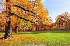 ç§å¤©æ æèå°é£æ¯æå½±å¾ç_èªç¶é£æ¯_é«æ¸ç´ æ-å¾è¡å¤©ä¸ç´ æç½