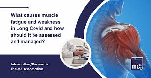 Image result for Muscle Weakness Causes