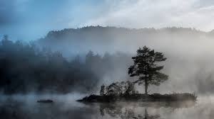 Foggy island on lake, forest, mountains, island, lake, fog, HD wallpaper |  Peakpx