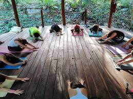 ‍tu retiro de yoga y meditación incluye: 8 Ideas De Yoga Retiro De Yoga California King Yoga