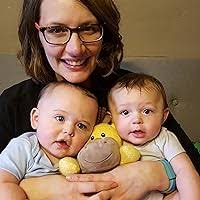 The Falcons of Fire and Ice by Karen Maitland