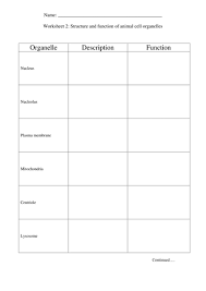 There exist about 12 organelles in a cell, and each has a specific objective that helps the body to carry out its functions. As Level Biology Animal Cell Structure And Function Quiz Teaching Resources