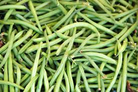 Snap off dandelion heads before they seed if you don't want more dandelions next year. What S Healthier Canned Or Fresh Green Beans