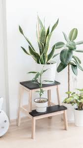 Ikea Bekvam Bekvam Decorationplants Plant Decor Indoor Ikea Plants Ikea Bekvam