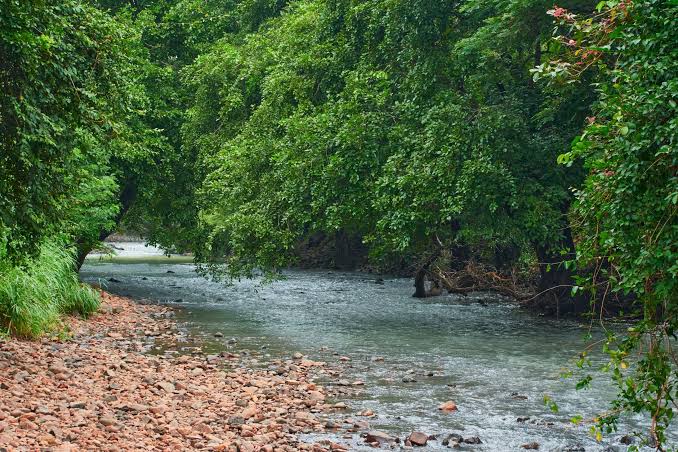 Sanjay Gandhi National Park Mumbai - Timings, Fees & History
