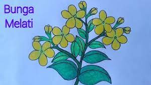 Bahkan di indonesia sendiri sudah terdapat banyak jenis gambar yang memiliki bentuk dan warna yang sangat indah sekali. Cara Menggambar Bunga Melati Yang Mudah Menggambar Dan Mewarnai Bunga Melati Youtube