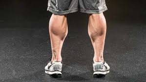 The gastrocnemius muscle lies on top of the soleus running from the knee to the ankle joints. 6 Major Mistakes Limiting Your Calf Size Bodybuilding Com