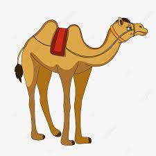 Download in under 30 seconds. Desert Animal Camel Clip Art Animal Camel Clipart Png Transparent Clipart Image And Psd File For Free Download