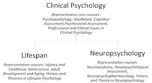 The two most common doctoral degrees leading to a career in neuropsychology are a phd in clinical psychology or a psy.d in clinical psychology. Clinical Psychology University Of Victoria