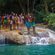 Dolphin Cove at Treasure Reef Tour - Jamaica Tours Airport Transfers &  Excursions