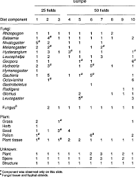 Image result for Diplolophium africanum