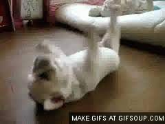 React To Gifs Page 150 The Sims Forums