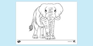 Safari animals coloring pages, baby elephant, baby giraffe, baby lion, coloring page for kids, printable coloring book, pdf digital print. Realistic Elephant Colouring Page Colouring Sheets