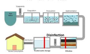 steps of water purification process online biology notes