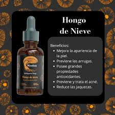 Hongo de nieve — Mycellium