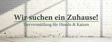 Bleib zuhause und schütze deine mitmenschen vor corona! Home Wir Suchen Ein Zuhause