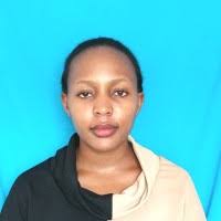 300+ "Ringo" profiles