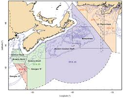 Eastern Canada Sea Scallop Offshore