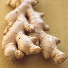 In a week or two you'll see the leaves of the ginger plant emerge. How To Grow Ginger In Containers The Garden