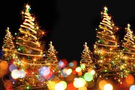 Resultado de imagem para imagens de pinheiros de natal