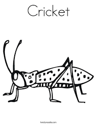 Cricket Coloring Page Insect Coloring Pages Animal Coloring Pages Coloring Pages