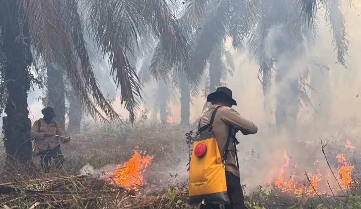 Hilirisasi Tembaga di Gresik Menjadi Jalan Indonesia Menguasai Nilai Tambah SDA