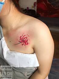 Xăm mini hoa bỉ ngạn. Bá»‰ Ngáº¡n Hinh XÄƒm Hoa Bá»‰ Ngáº¡n Hinh XÄƒm Mini Hoa Bá»‰ Ngáº¡n Hinh XÄƒm Mini á»Ÿ Ngá»±c Hinh XÄƒm Hinh XÄƒm Hoa XÄƒm
