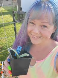 What to move for baby blue hubbard squash?