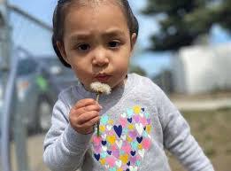 Jerry Murch's Instagram, Twitter & Facebook